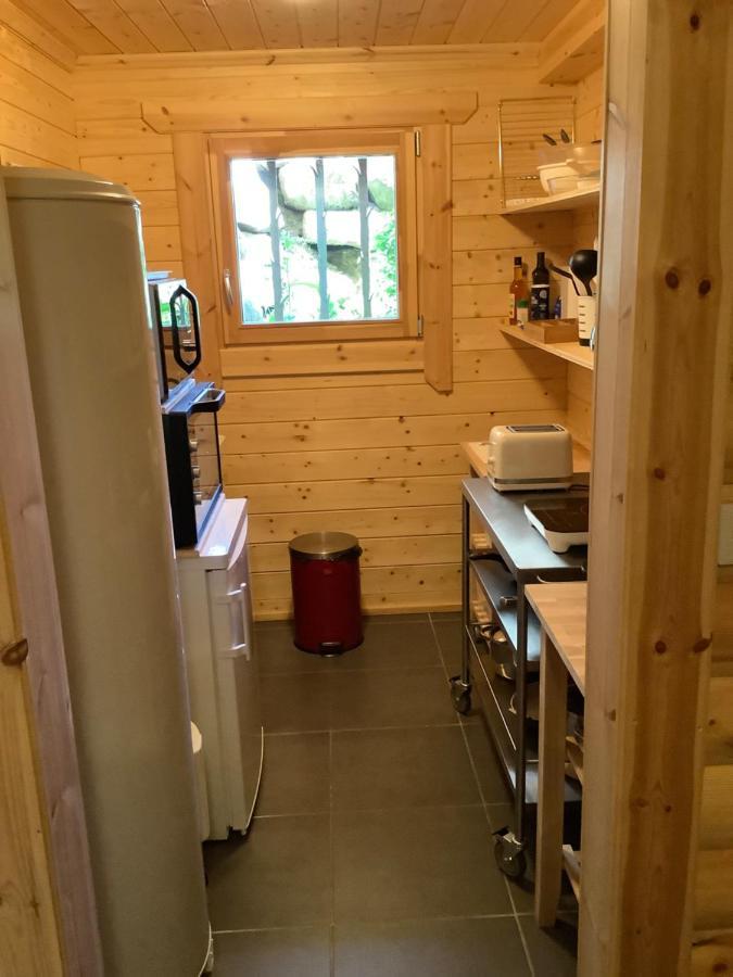 Appartement indépendant dans un beau chalet Egat Exterior foto